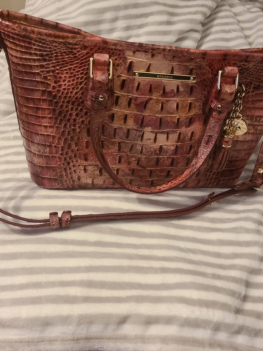 Brahmin Embossed Leather Tote Bag in Raspberry